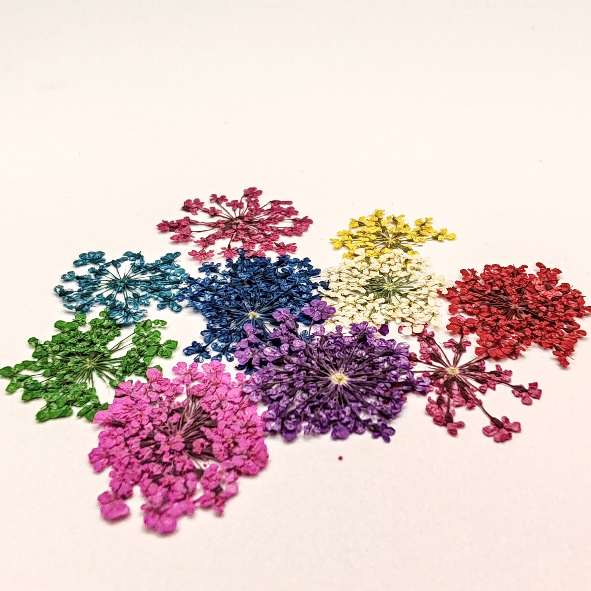 Set ukrasa za nokte sušeno cvijeće